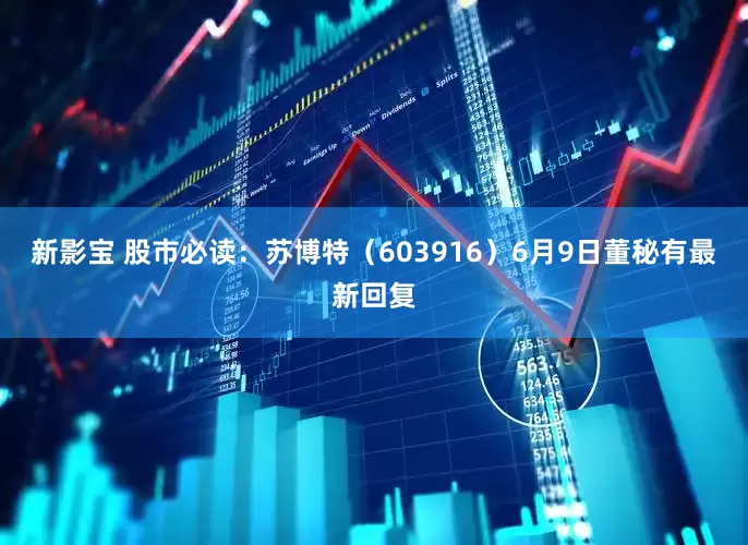 新影宝 股市必读：苏博特（603916）6月9日董秘有最新回复