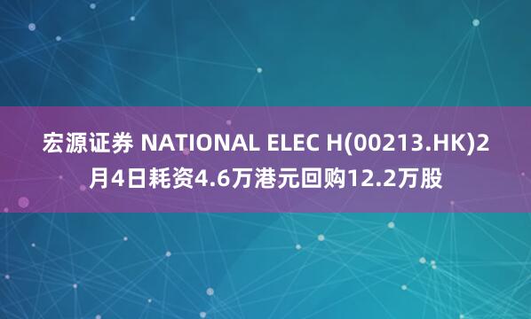 宏源证券 NATIONAL ELEC H(00213.HK)2月4日耗资4.6万港元回购12.2万股